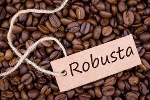 Robusta