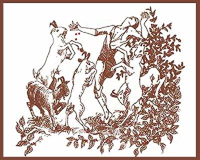 Con đường cà phê