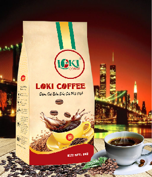 LOKI - H+