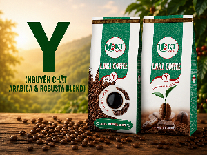 Y (Nguyên chất Arabica & Robusta Blend)